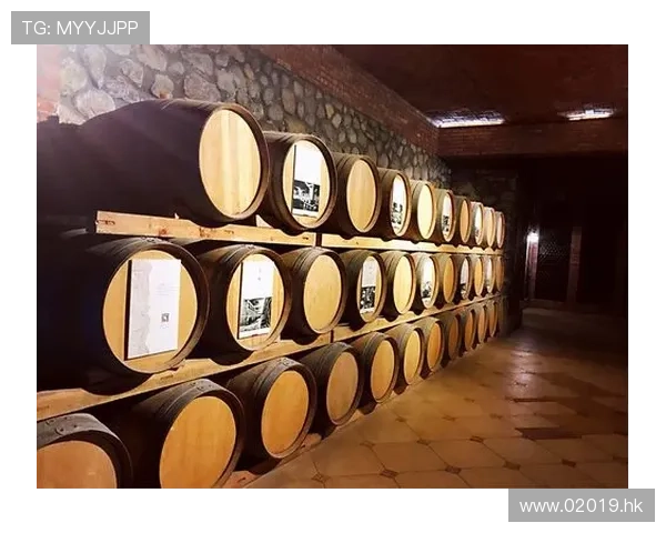 快乐到死：一场关于极致欢愉与生命边界的探索